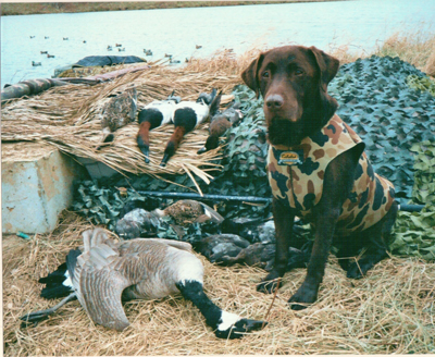 Cody with Ducks